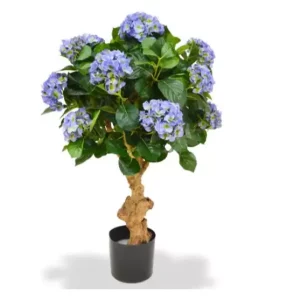 Hortensja Luksusowa Niebieska 90 cm