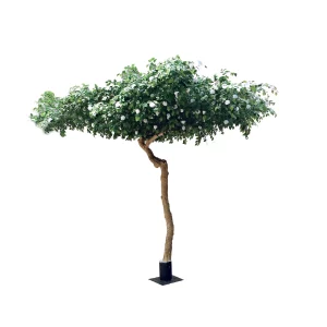 Kamelia Umbrella 275 cm