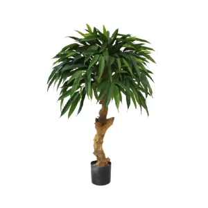 Longifolia Royal 90 cm