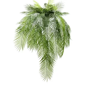 Palma Feniks - Aranżacja w Donicy Wiszącej 110 cm