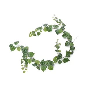 Bluszcz Scindapsus Pictus - Girlanda 180 cm