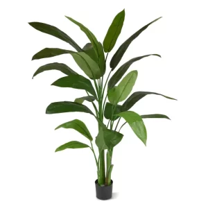 Helikonia 170 cm