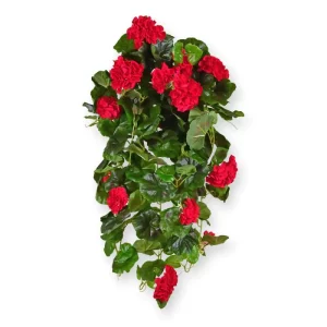 Pelargonia Luksusowa Wisząca Czerwona 70 cm