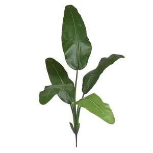 Strelicja Traveller na Piku 100 cm