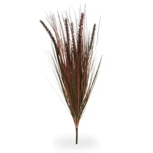 Trawa Pennisetum Czerwona na Piku 75 cm