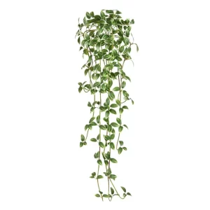 Trzykrotka Biało - Zielona 90 cm