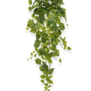 Bluszcz Winorośli Zielony 90 cm