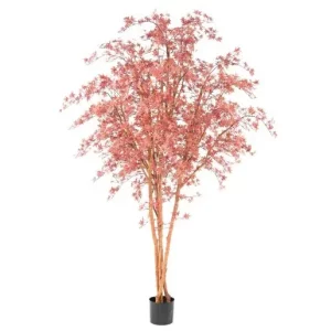 Aralia Czerwona UV 280 cm