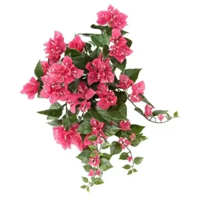 Bugenwilla Fuksja na Piku UV 45 cm