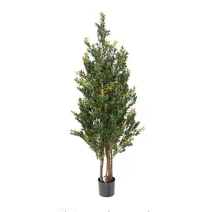 Bukszpan Kolorowy UV 130 cm