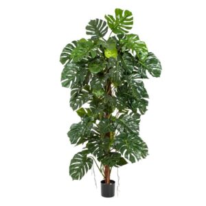 Filodendron na Pniu 160 cm