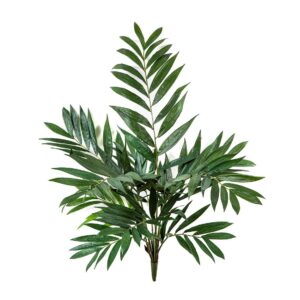 Palma Parlour na Piku 75 cm