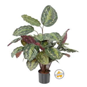 Kalatea Medallion 70 cm - Produkt Trudnopalny FR