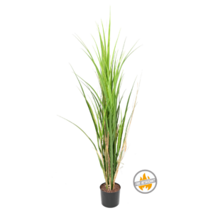 Trawa Trzcinowa 115 cm - Produkt Trudnopalny FR