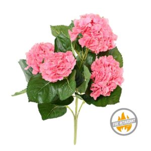 Hortensja Różowa na Piku 50 cm - Produkt Trudnopalny FR