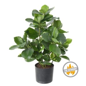 Kluzja 45 cm - Produkt Trudnopalny FR