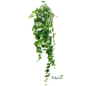 Bluszcz Hedera Zielony 100 cm