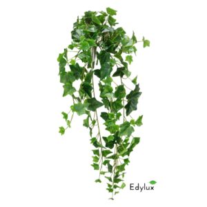 Bluszcz Hedera Zielony 85 cm