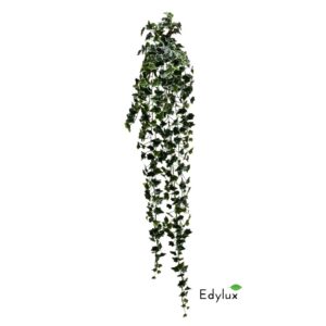Bluszcz Hedera Biało - Zielony 180 cm