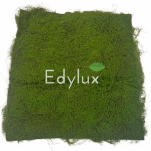 Mata z Mchu 100 x 100 cm